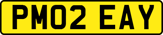 PM02EAY