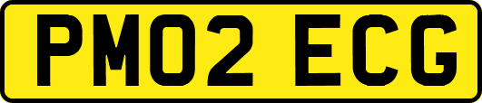 PM02ECG