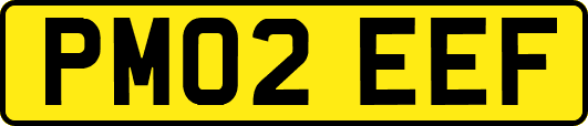 PM02EEF