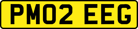 PM02EEG
