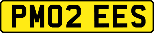 PM02EES