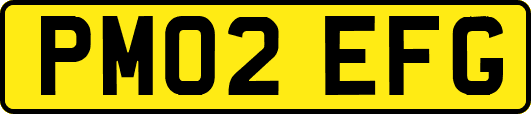 PM02EFG