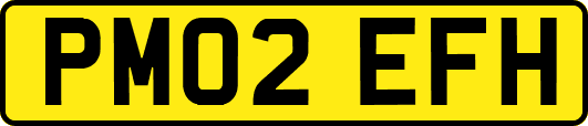 PM02EFH