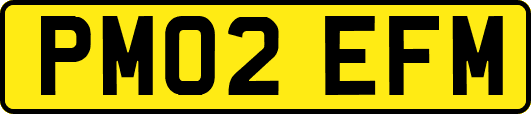 PM02EFM