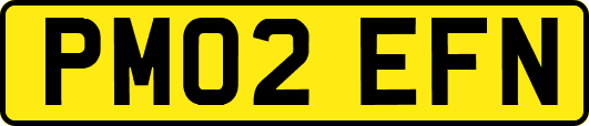 PM02EFN
