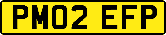 PM02EFP