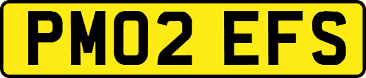 PM02EFS