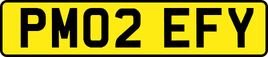 PM02EFY