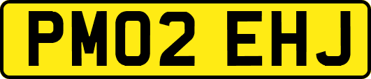 PM02EHJ