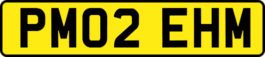 PM02EHM