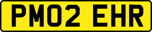 PM02EHR