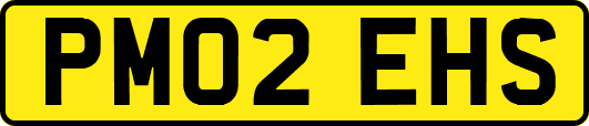 PM02EHS