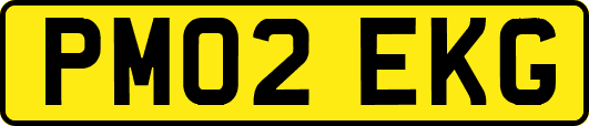 PM02EKG