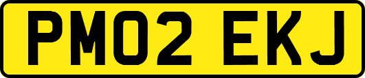 PM02EKJ