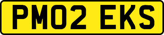 PM02EKS