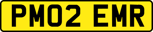 PM02EMR
