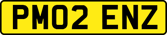 PM02ENZ