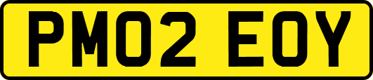 PM02EOY