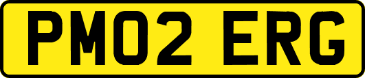 PM02ERG
