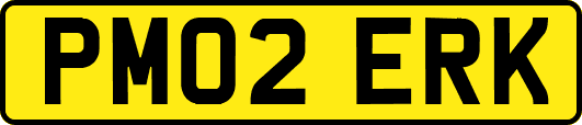 PM02ERK