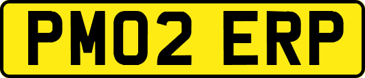 PM02ERP