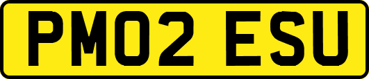 PM02ESU