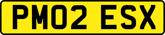 PM02ESX