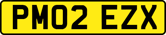 PM02EZX