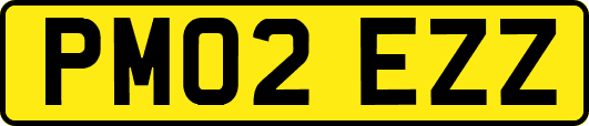 PM02EZZ