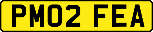 PM02FEA