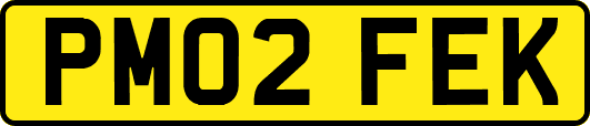 PM02FEK