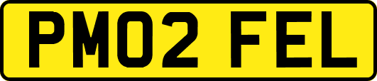 PM02FEL