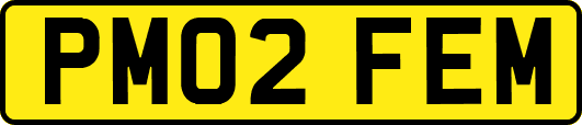 PM02FEM
