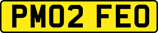 PM02FEO