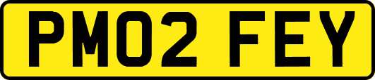 PM02FEY