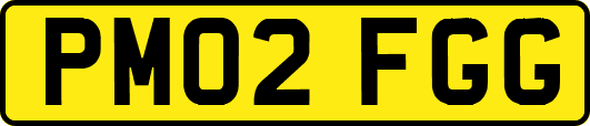 PM02FGG