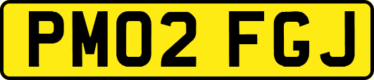 PM02FGJ