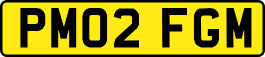 PM02FGM