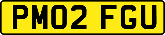 PM02FGU