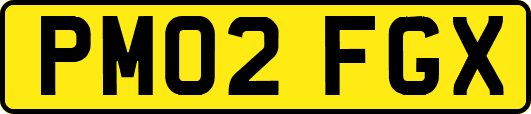 PM02FGX