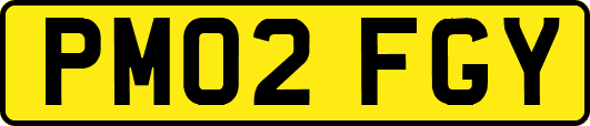 PM02FGY