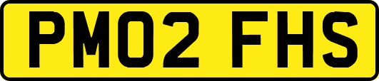 PM02FHS