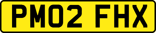 PM02FHX