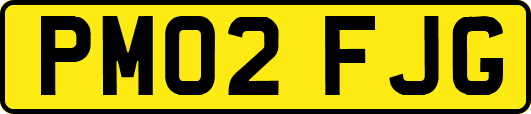 PM02FJG
