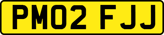 PM02FJJ