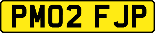PM02FJP