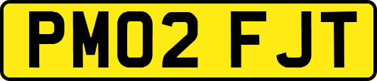 PM02FJT