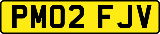 PM02FJV