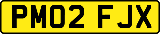 PM02FJX