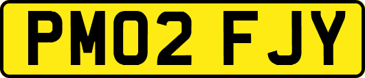 PM02FJY